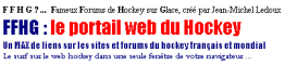 LE portail web du hockey français lancé par JM Ledoux...