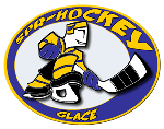 spr-hockey qui se démarque par des services dynamiques dont les statistiques...